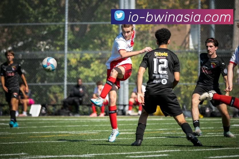 必赢亚洲平台生态图